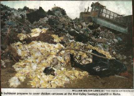 Rialto Landfill