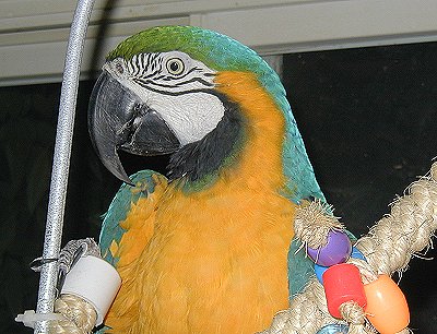 otis-1010041.jpg 43.8K