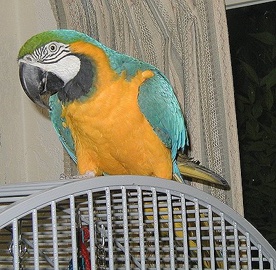 otis-1010043.jpg 69.6K