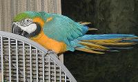 t-otis-1010042.jpg 7.2K