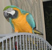 t-otis-1010043.jpg 11.3K