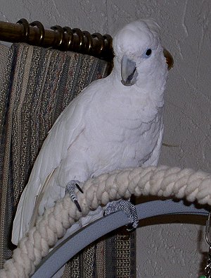 tripod-7260021.jpg 36.9K