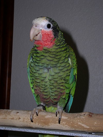 p2040004-1.jpg 45.1K