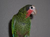 t-p2040001-1.jpg 4.6K