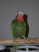 t-p2040002-1.jpg 4.5K