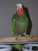 t-p2040003-1.jpg 5.3K