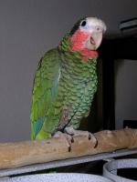 t-p2040006-1.jpg 5.5K