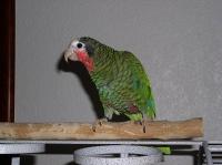t-p2040014-1.jpg 5.2K