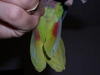 t-p2040016-1.jpg 4.1K
