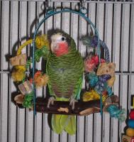 t-p2040018-1.jpg 10.9K