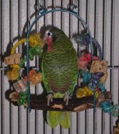 t-p2040020-1.jpg 9.3K