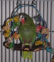 t-p2040021-1.jpg 9.1K