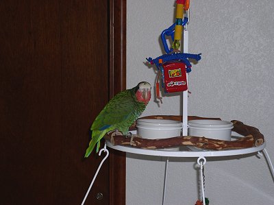 p2040030-1.jpg 22.7K