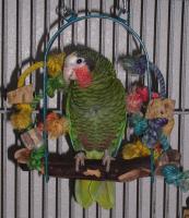t-p2040022-1.jpg 9.5K