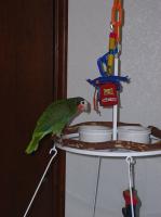 t-p2040029-1.jpg 4.9K